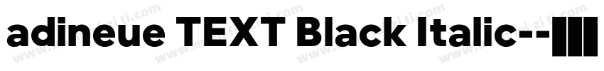 adineue TEXT Black Italic-字体转换